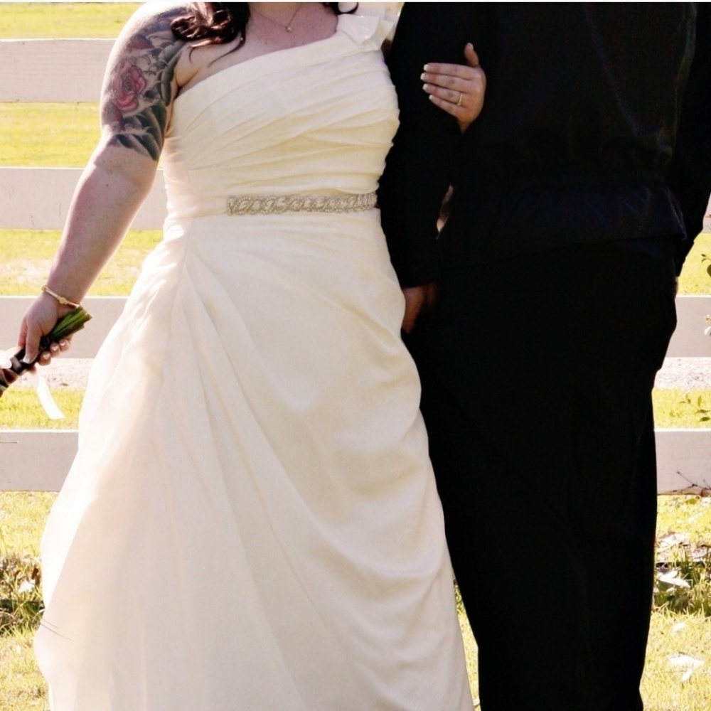 David's Bridal wedding dress